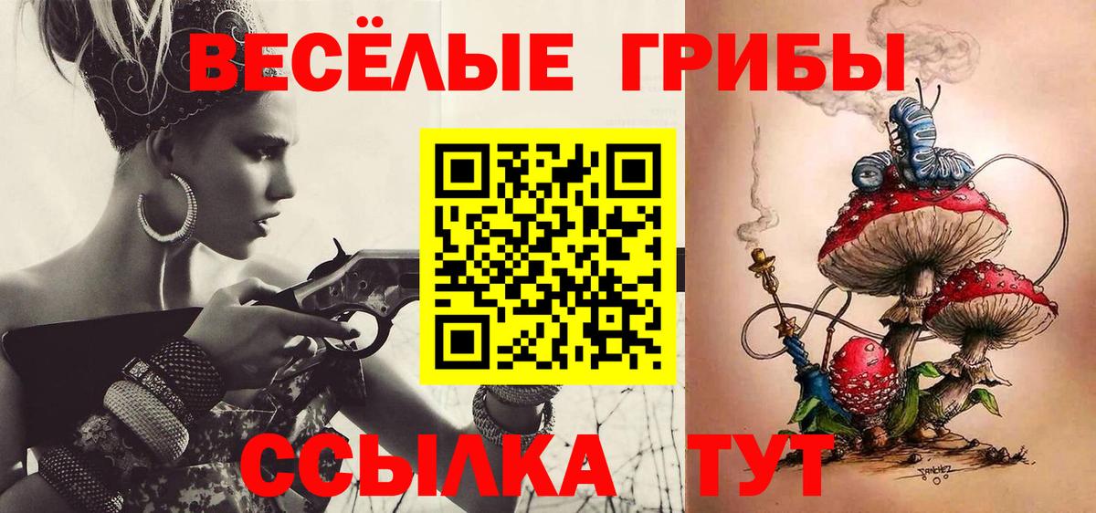 Псилоцибиновые грибы Psilocybine cubensis  Вход с VPN  Коммунар  Псилоцибиновые грибы мицелий 